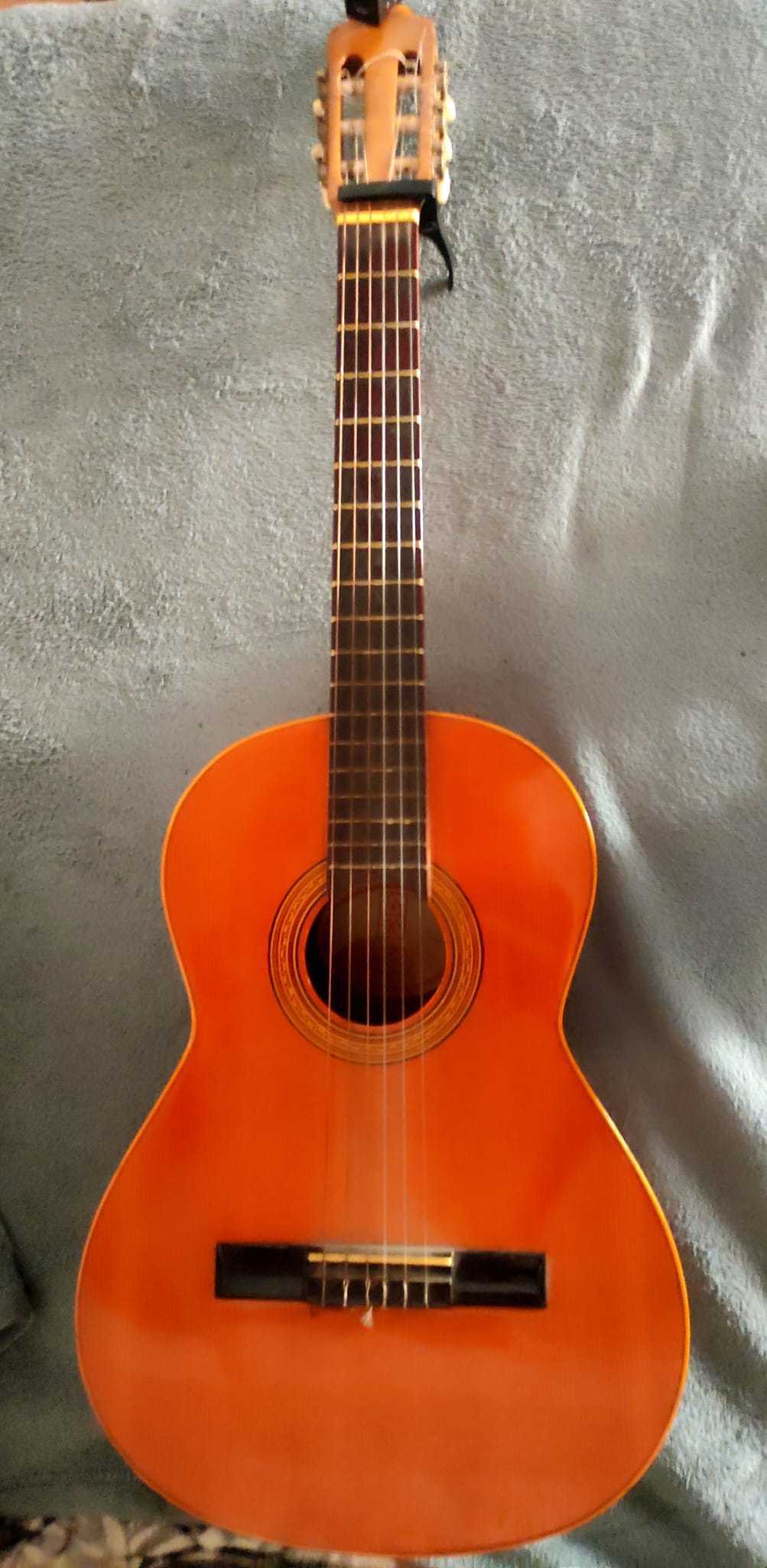 Guitarra de Tuna Rosa en concierto