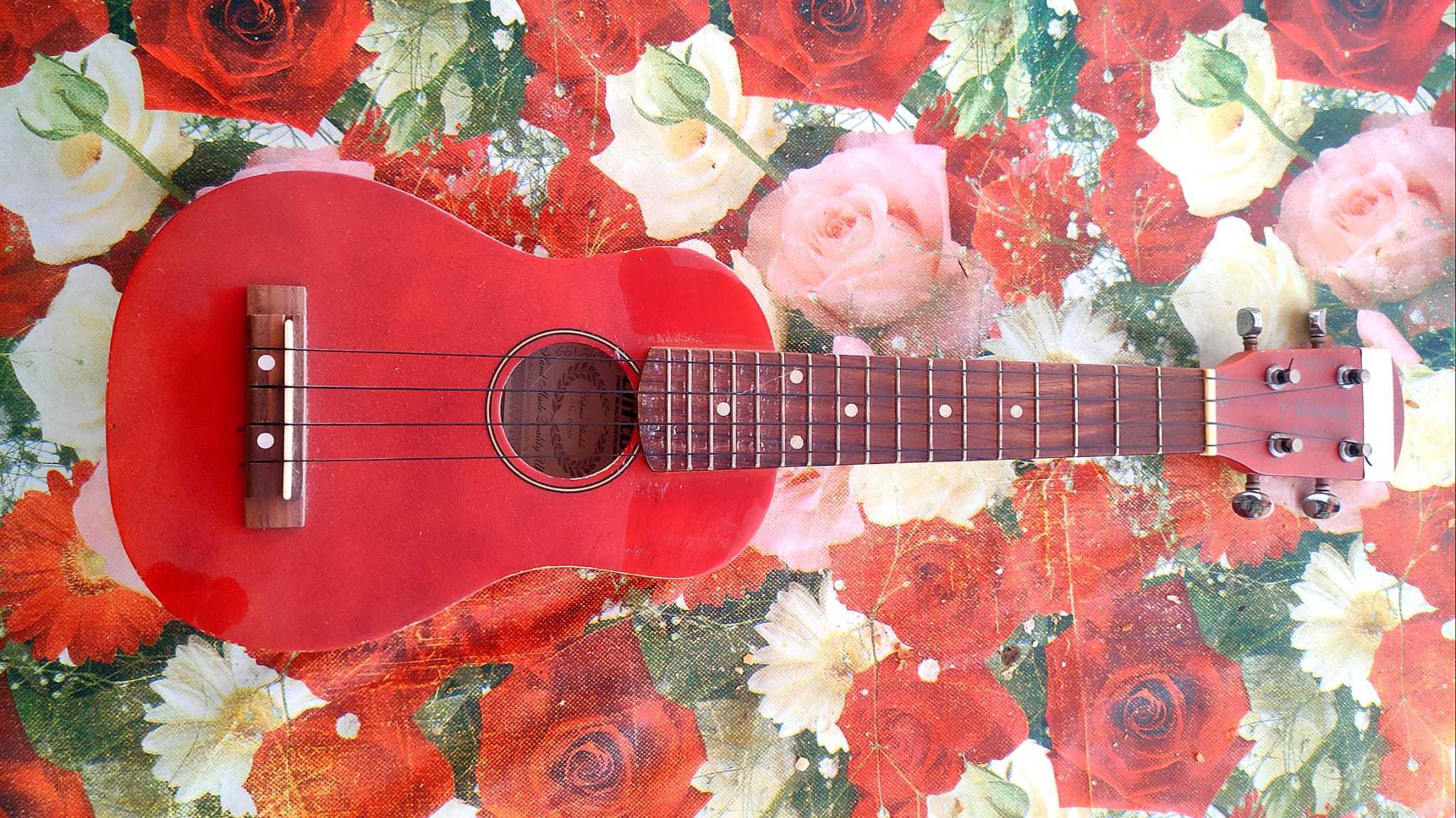 Ukelele del repertorio de Tuna Rosa